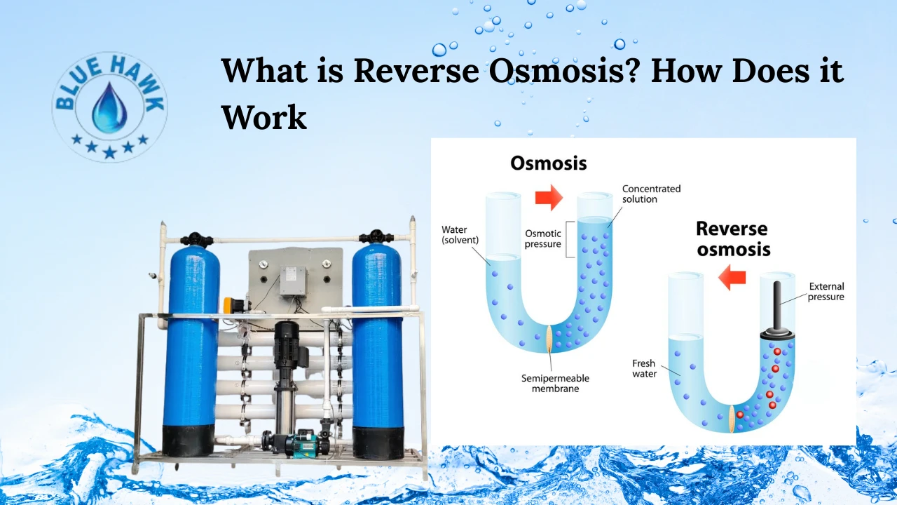You are currently viewing What is Reverse Osmosis? How Does it Work